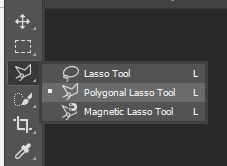 lasso tool.jpg